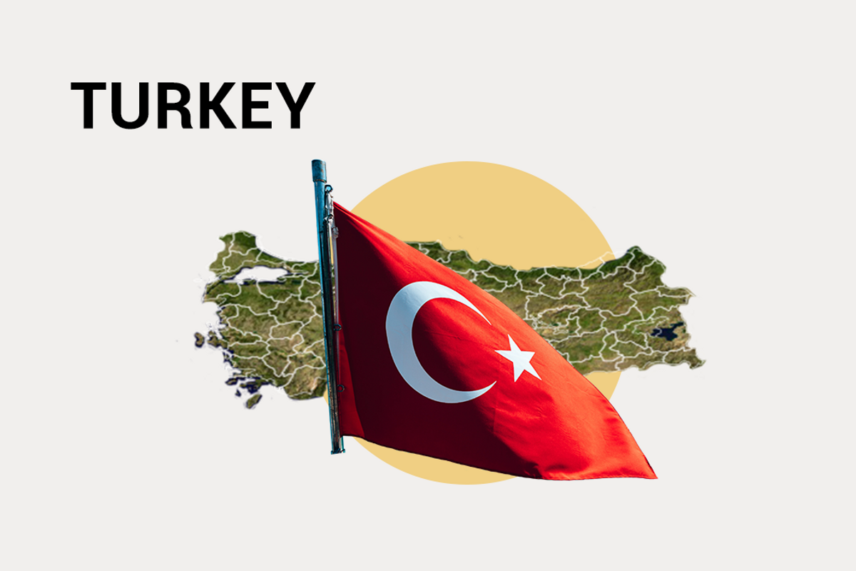 US election seen from Turkey: Turkish people have "a very negative perception of Joe Biden"
