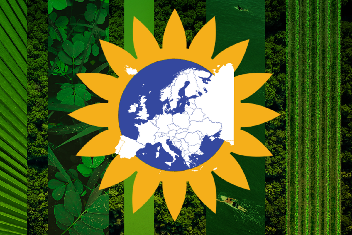 Is it the Greens' moment in Europe?