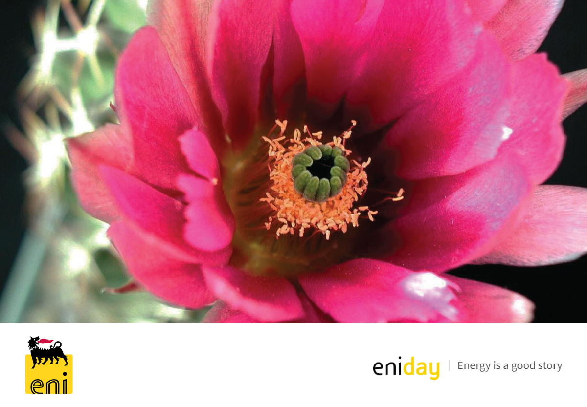 Mimicking Nature to Fight Climate Change