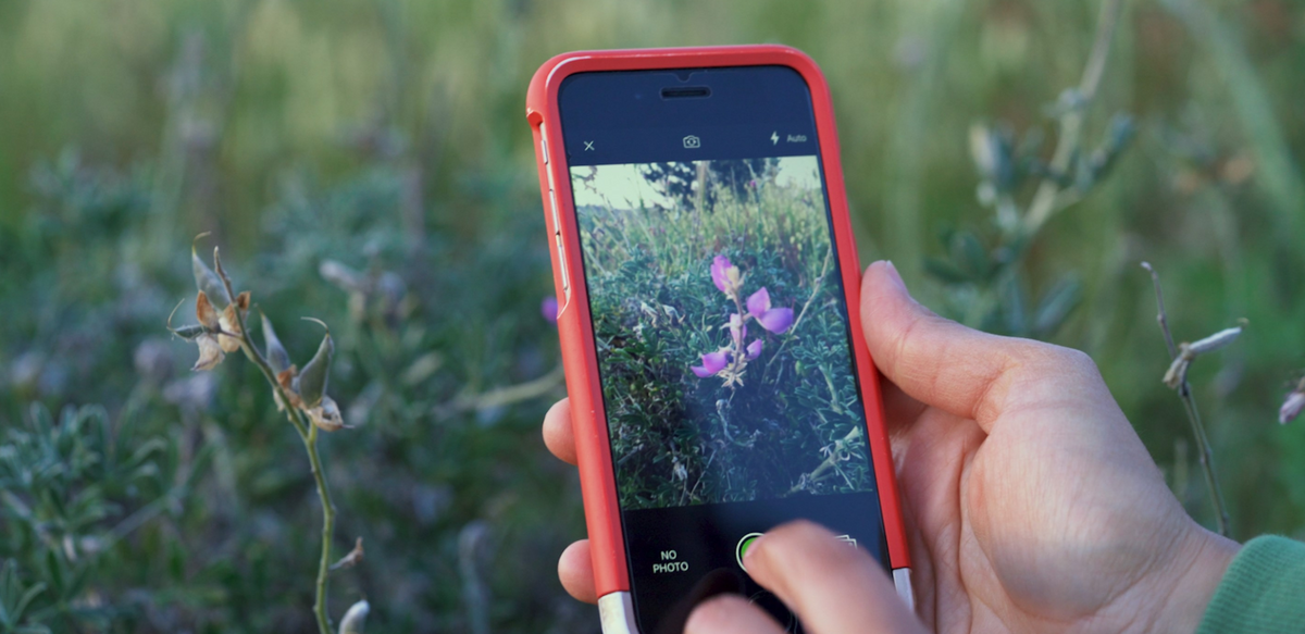 Young Scientists Are Leading the Charge on Environmental Change