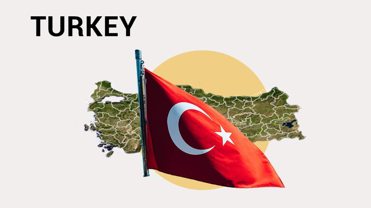 US election seen from Turkey: Turkish people have "a very negative perception of Joe Biden"