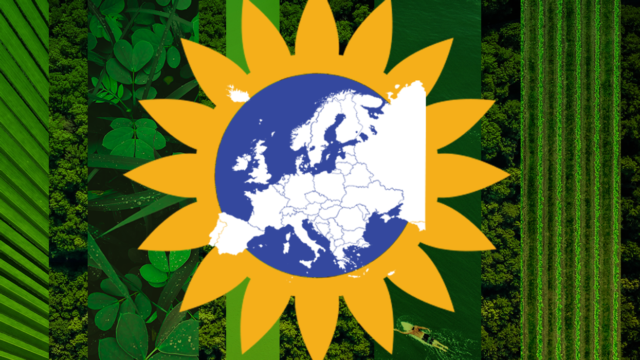 Is it the Greens' moment in Europe?