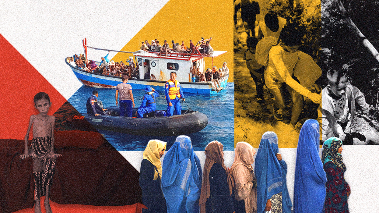 Stories we overlooked in 2022