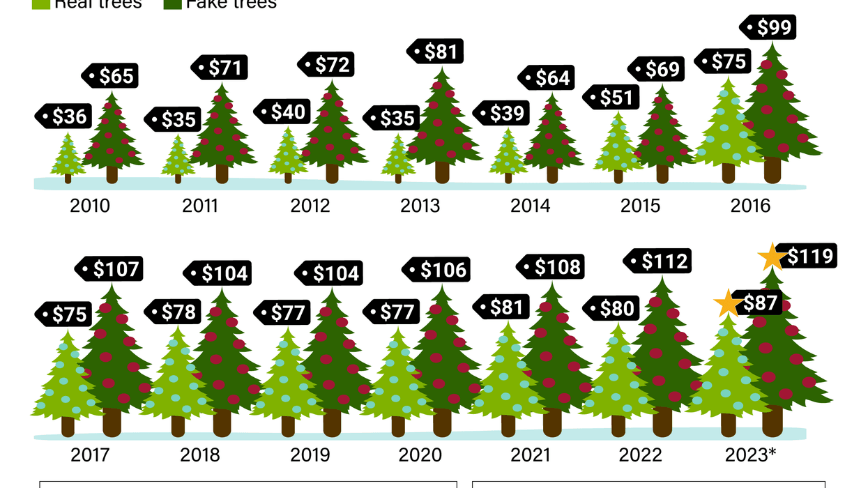 Economic Graphics Trees The Graphic Truth: Evergreen Economics - GZERO Media