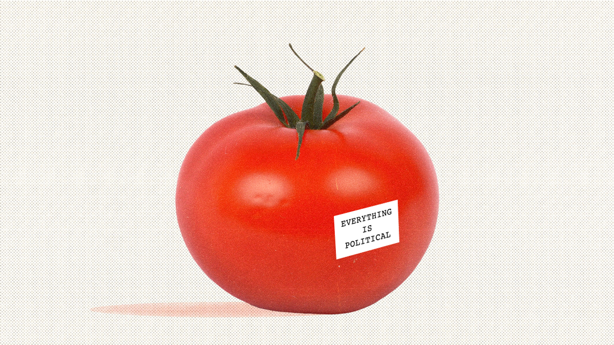 Everything’s political: sofa, tomato, shoe