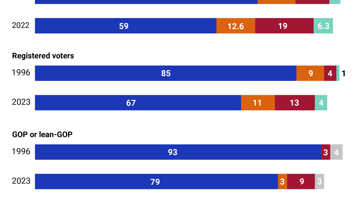 The Graphic Truth: Race, ethnicity, and party in the USA