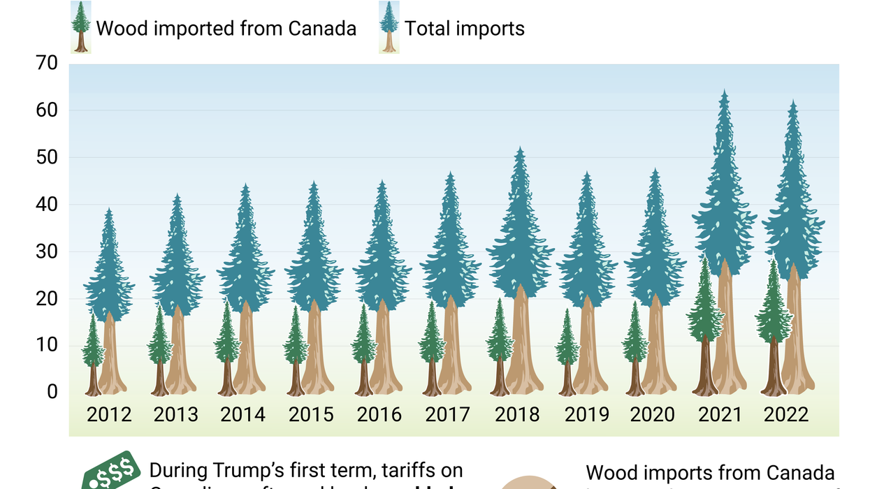 Graphic Truth: Will tariffs axe US wood imports?