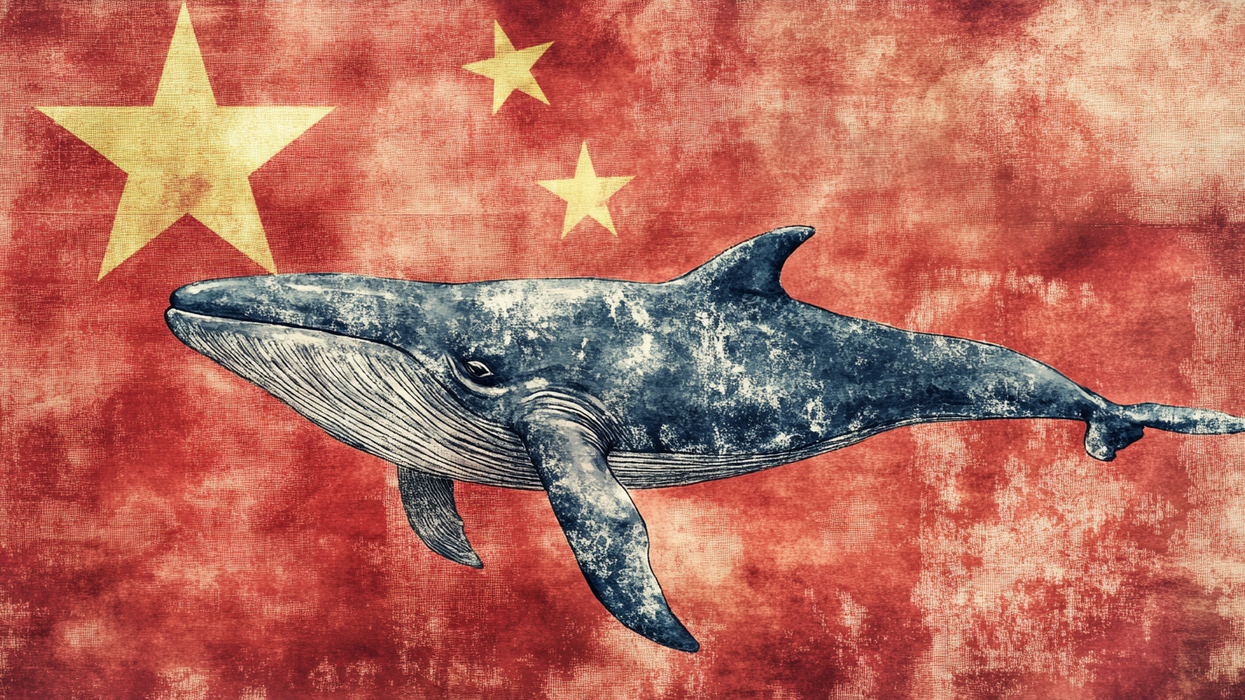 Is DeepSeek the next US national security threat?