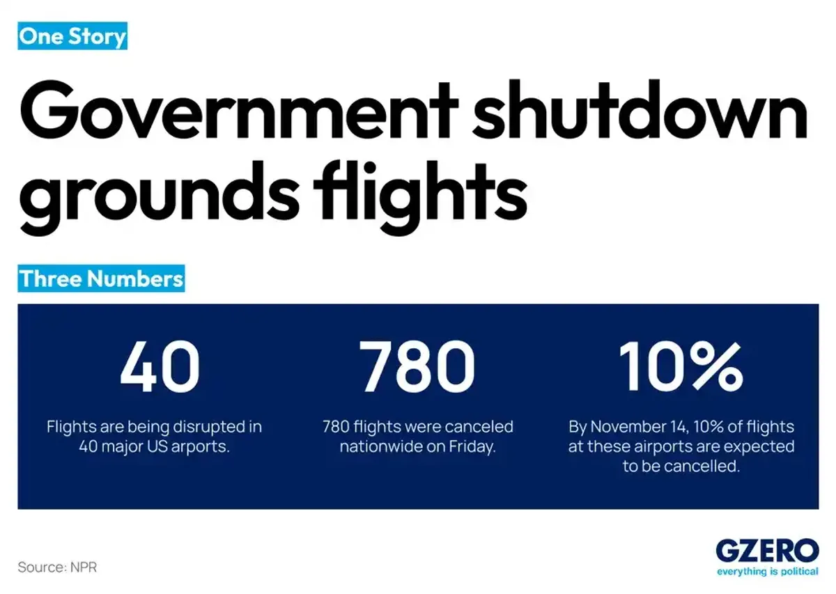 Government shutdown grounds flights