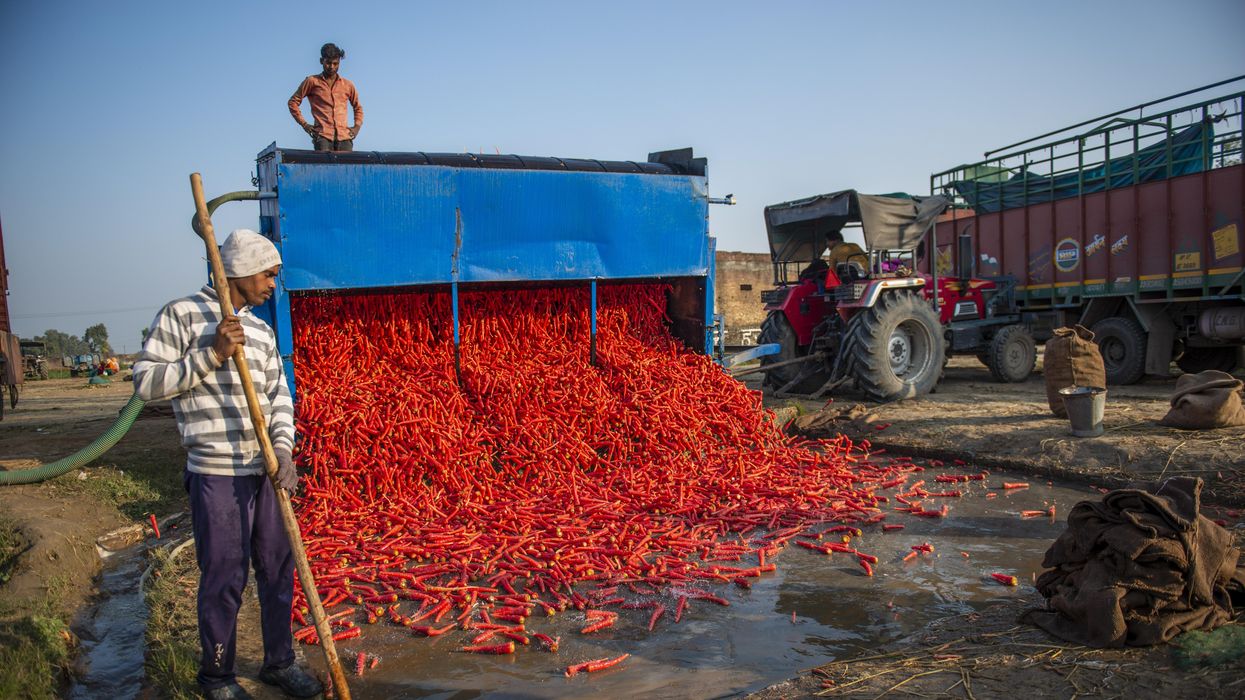 India needs non-agri investment, American women lag behind, WFH forever, Iranian job woes