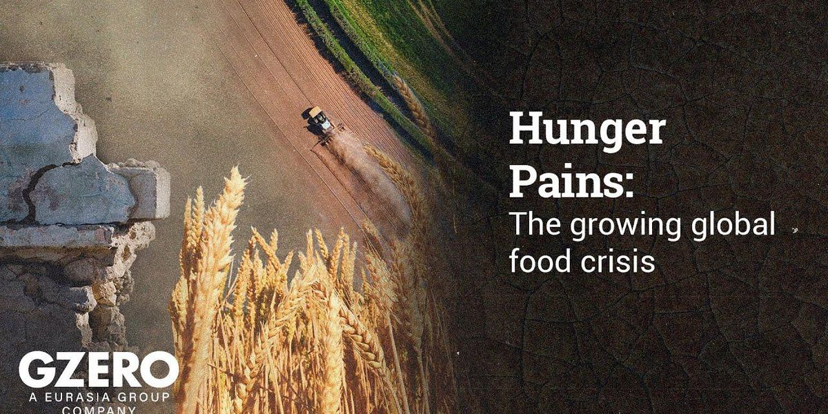 Introducing GZERO's coverage on Hunger Pains: the growing global food crisis