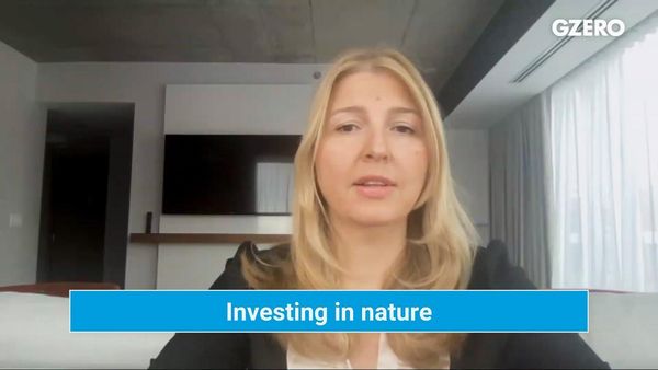 Why investors need to support biodiversity