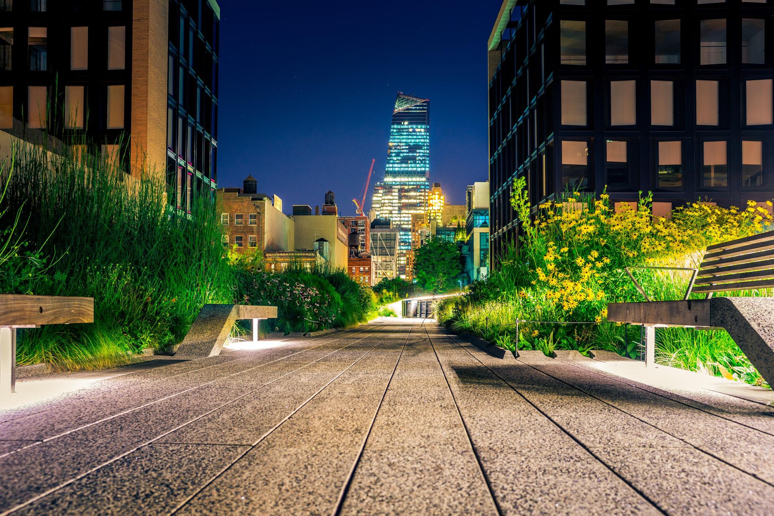Landscaped walkway with an evening view of lighted office buildings