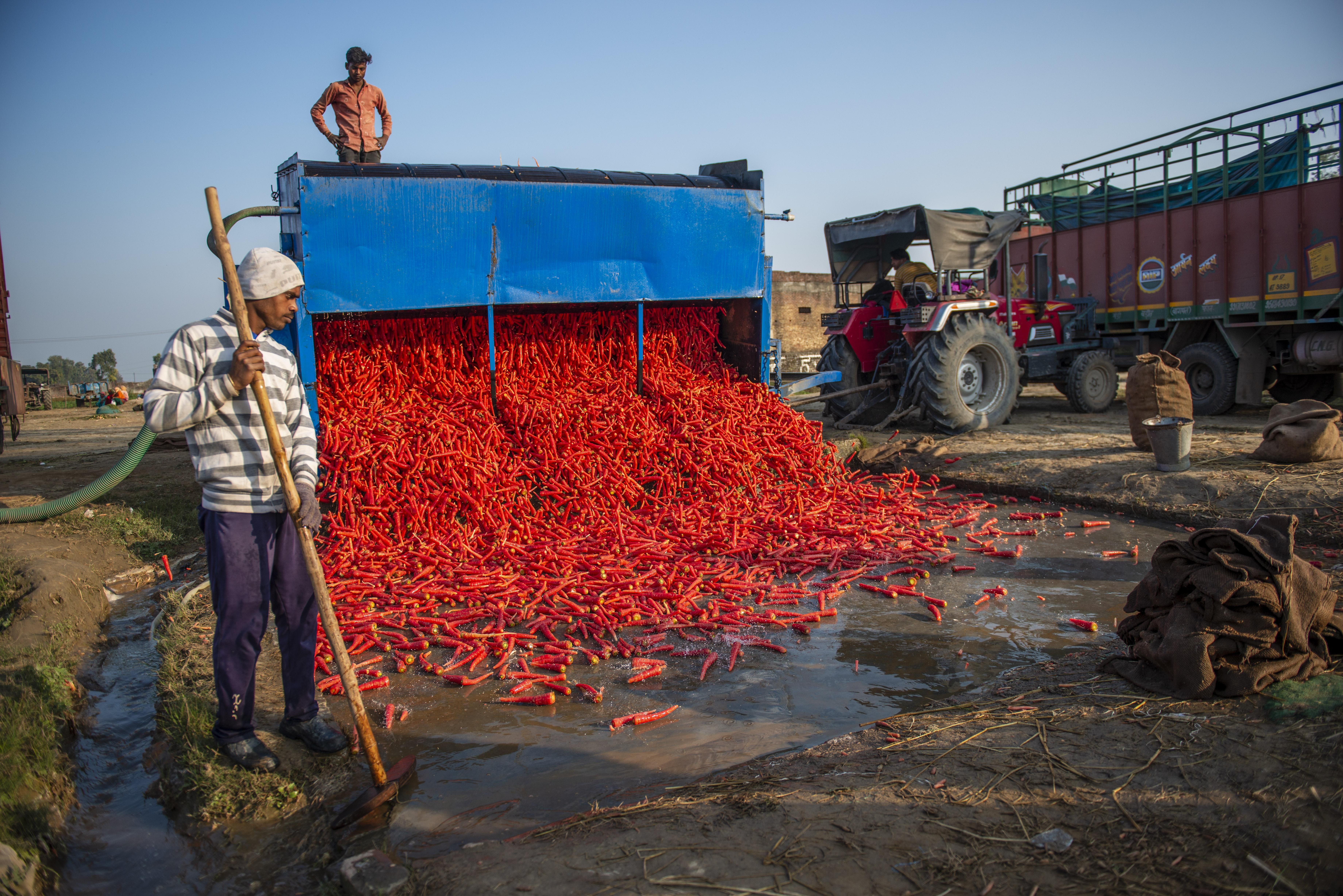 India needs non-agri investment, American women lag behind, WFH forever, Iranian job woes