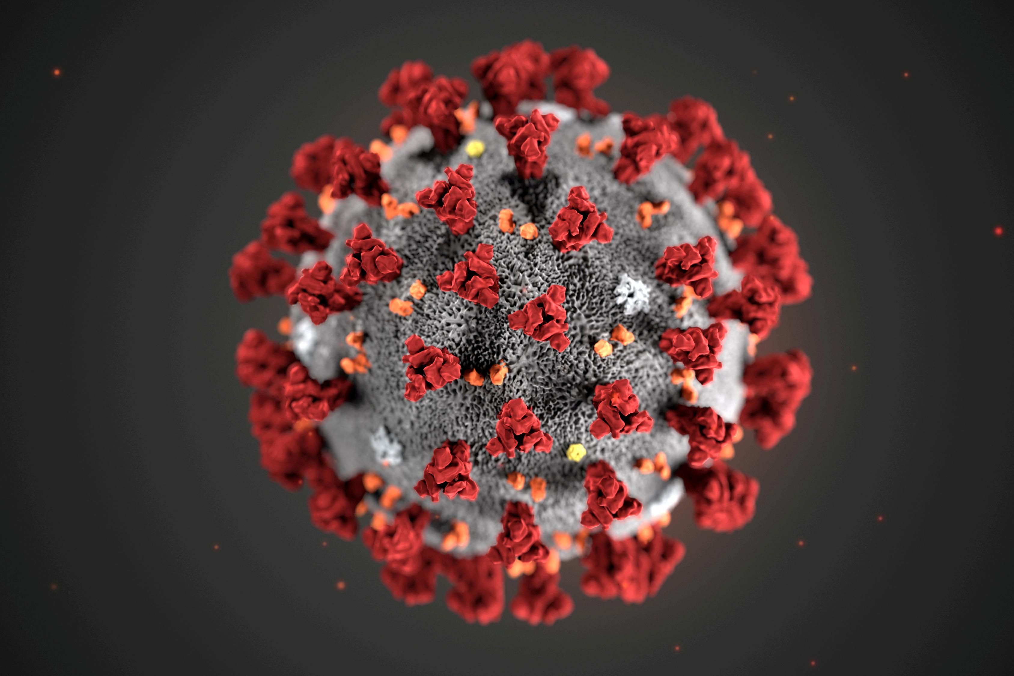 Illustration of COVID-19 virus by the US Centers for Disease Control.