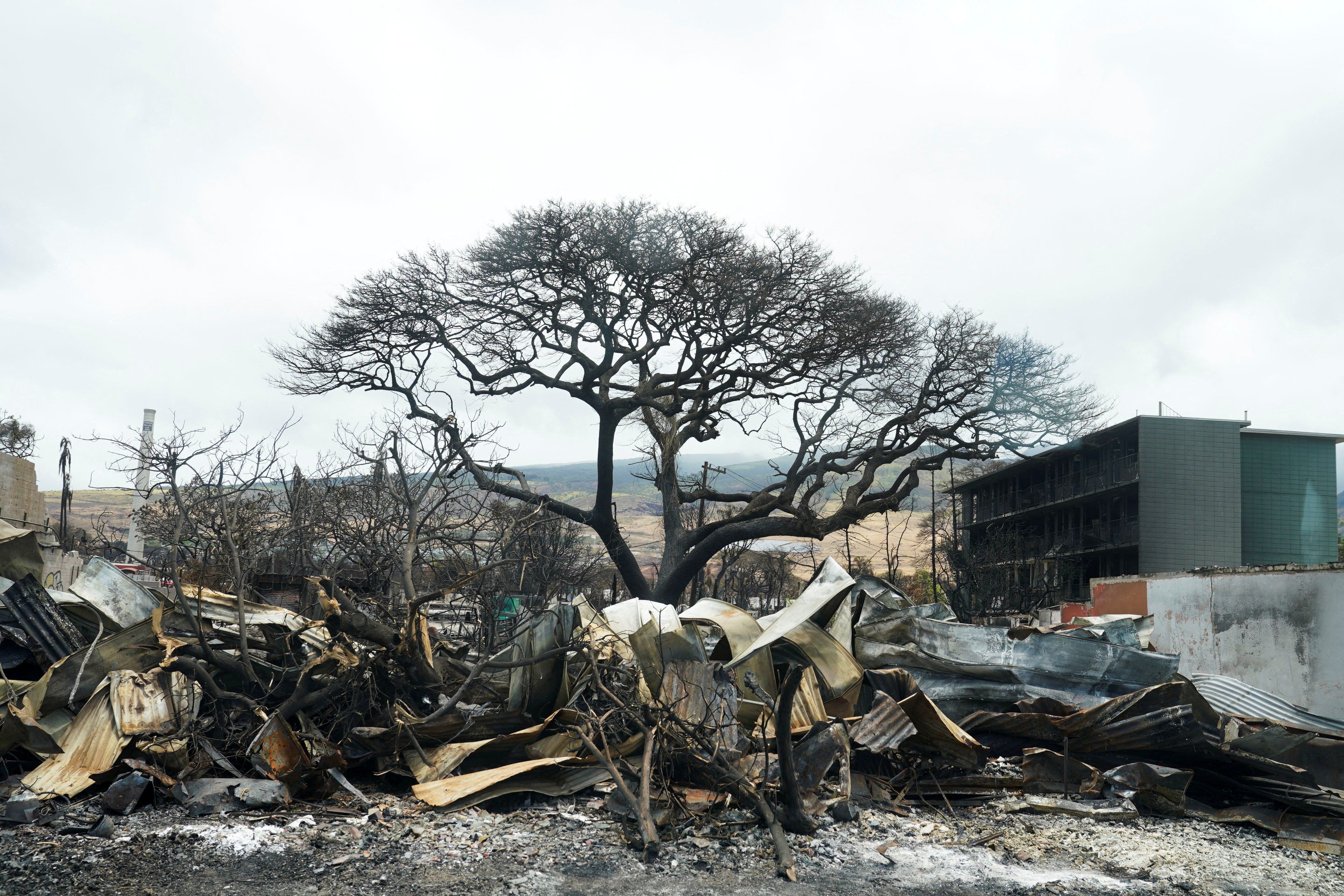 The fire-ravaged town of Lahaina on the island of Maui in Hawaii. 