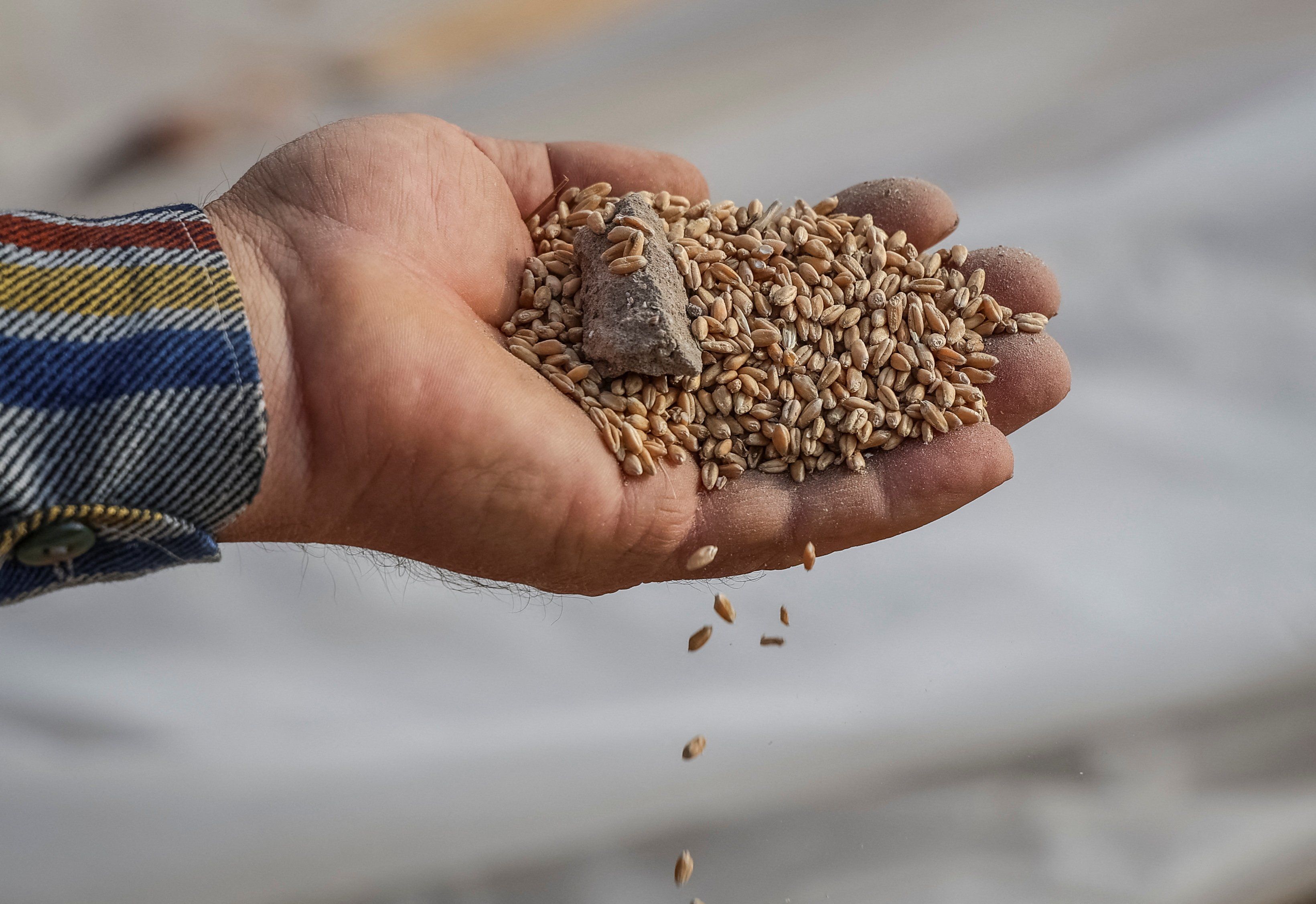 Ukrainian farmer visits his crop storage that was destroyed by Russian military strike near a frontline outside Orikhiv.