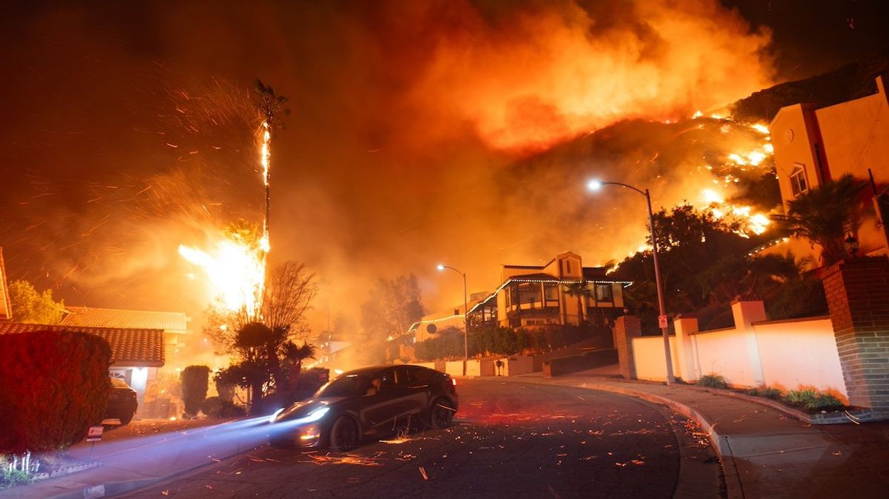 LOS ANGELES, CA - JANUARY 07: A wind-driven fire burns on January 7, 2025 in Los Angeles, California. Santa Ana wind is fueling wildfires in Los Angeles that have destroyed homes and forced the evacuation of thousands of people.