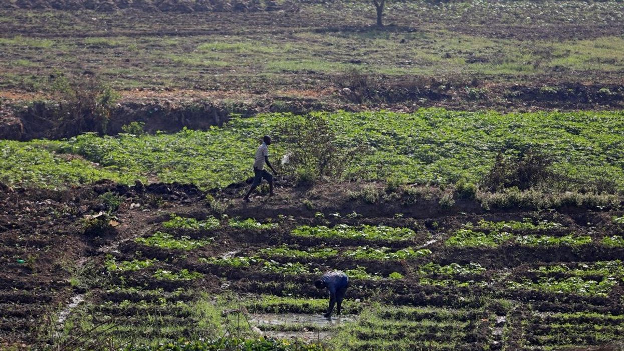 Men are seen on a farm close to the banks of the River Benue in Makurdi, Nigeria November 29, 2018.