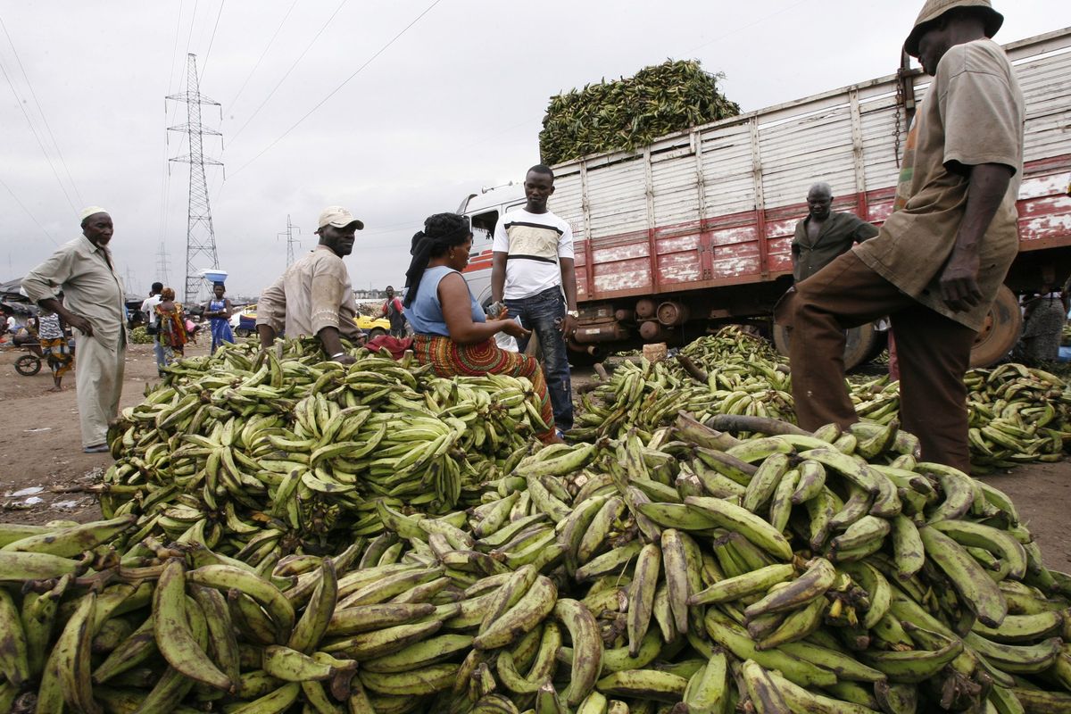 Men stand near bunches of bananas at Yopougon market