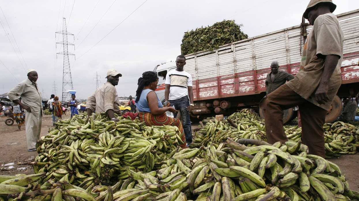 Men stand near bunches of bananas at Yopougon market