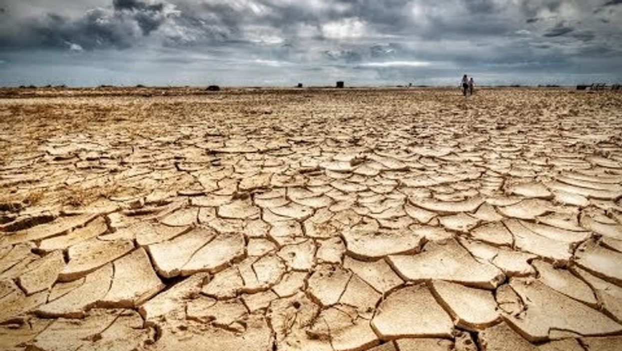 One Million Species Risk Extinction. The Chief Culprit – Humans