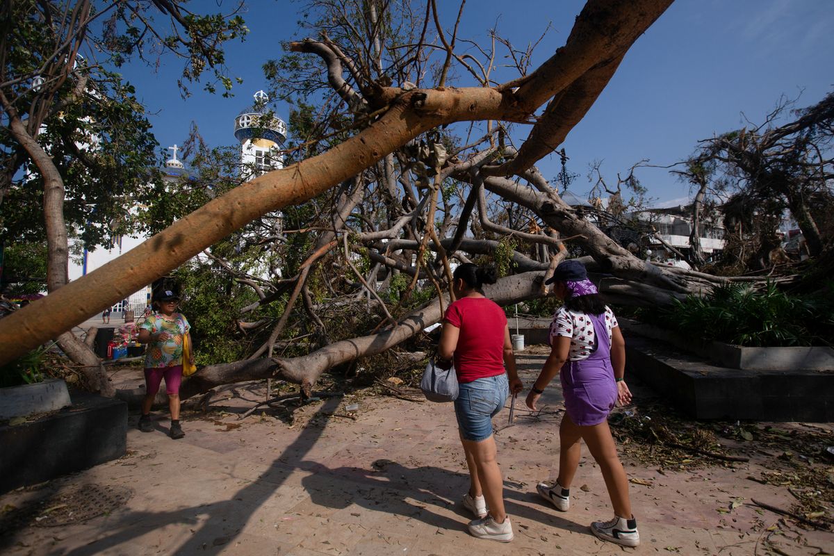 ​People walk next to damaged trees in the aftermath of Hurricane Otis, in Acapulco, Mexico, on Oct. 29, 2023. 