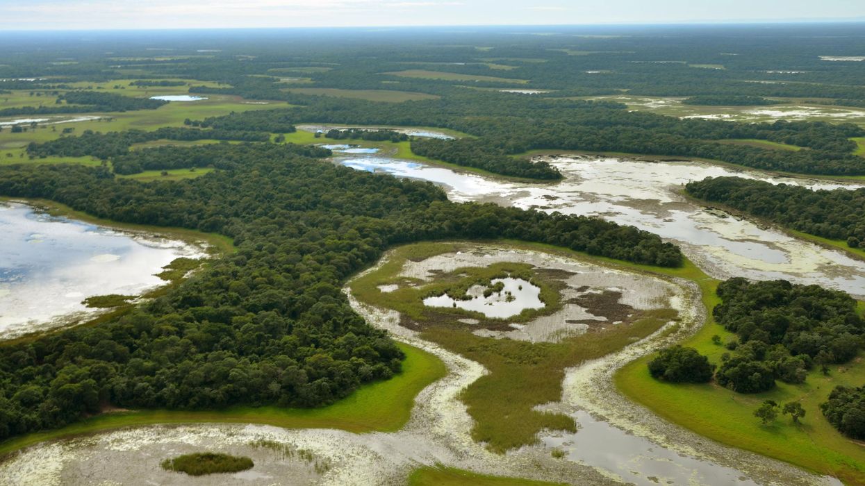  Photo taken on April 22, 2012, shows the Pantanal wetlands in western Brazil.