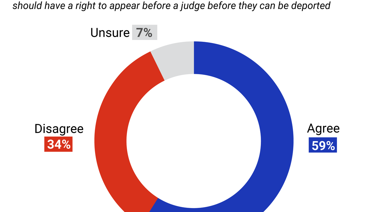 Pie graph showing voters views on deportations without due process.
