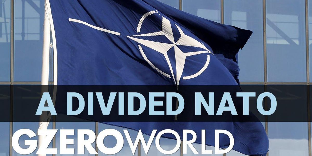 Putin shouldn't test NATO unity, says analyst Alina Polyakova