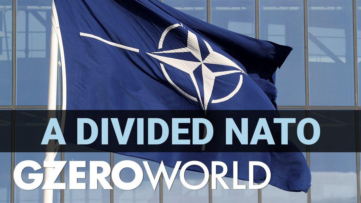 Putin shouldn't test NATO unity, says analyst Alina Polyakova