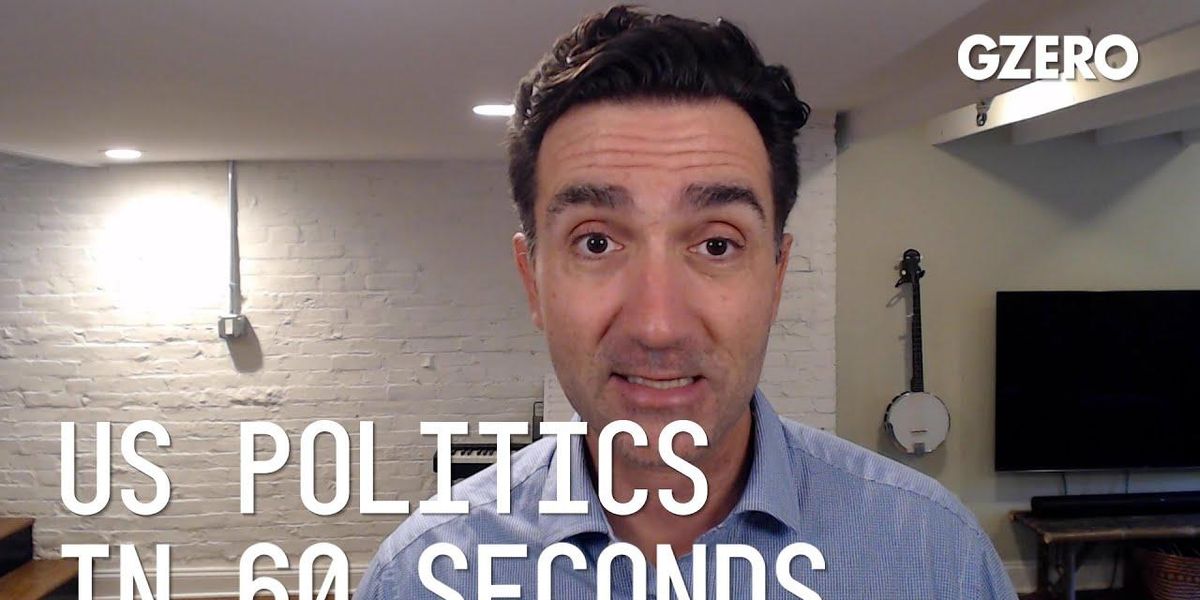 Reading the US midterm election tea leaves