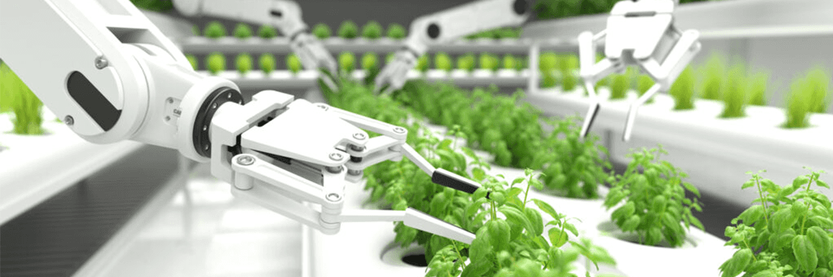 Robot arm farming basil