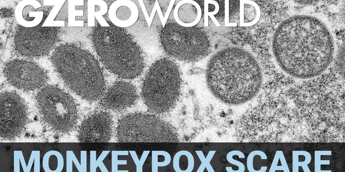 Should we worry about monkeypox?