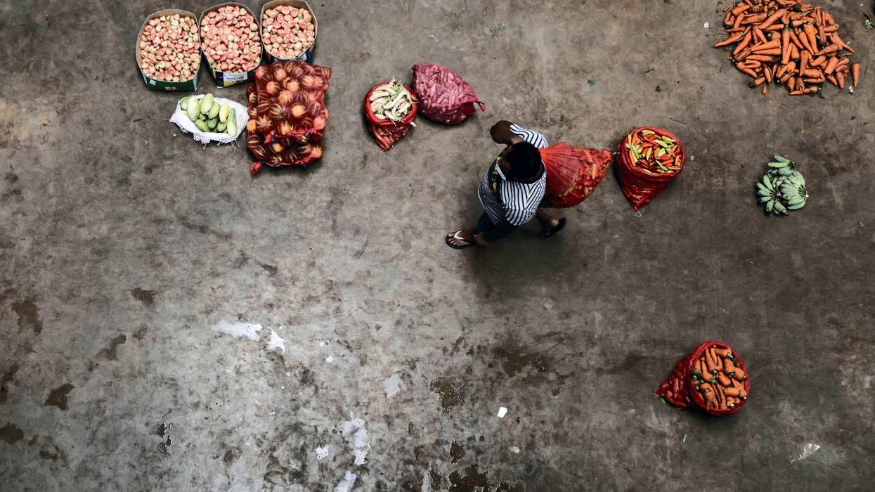 Sri Lanka’s long road to recovery, Ukraine’s homeless, Spain’s body-positive misstep, India’s cheetah resettlement