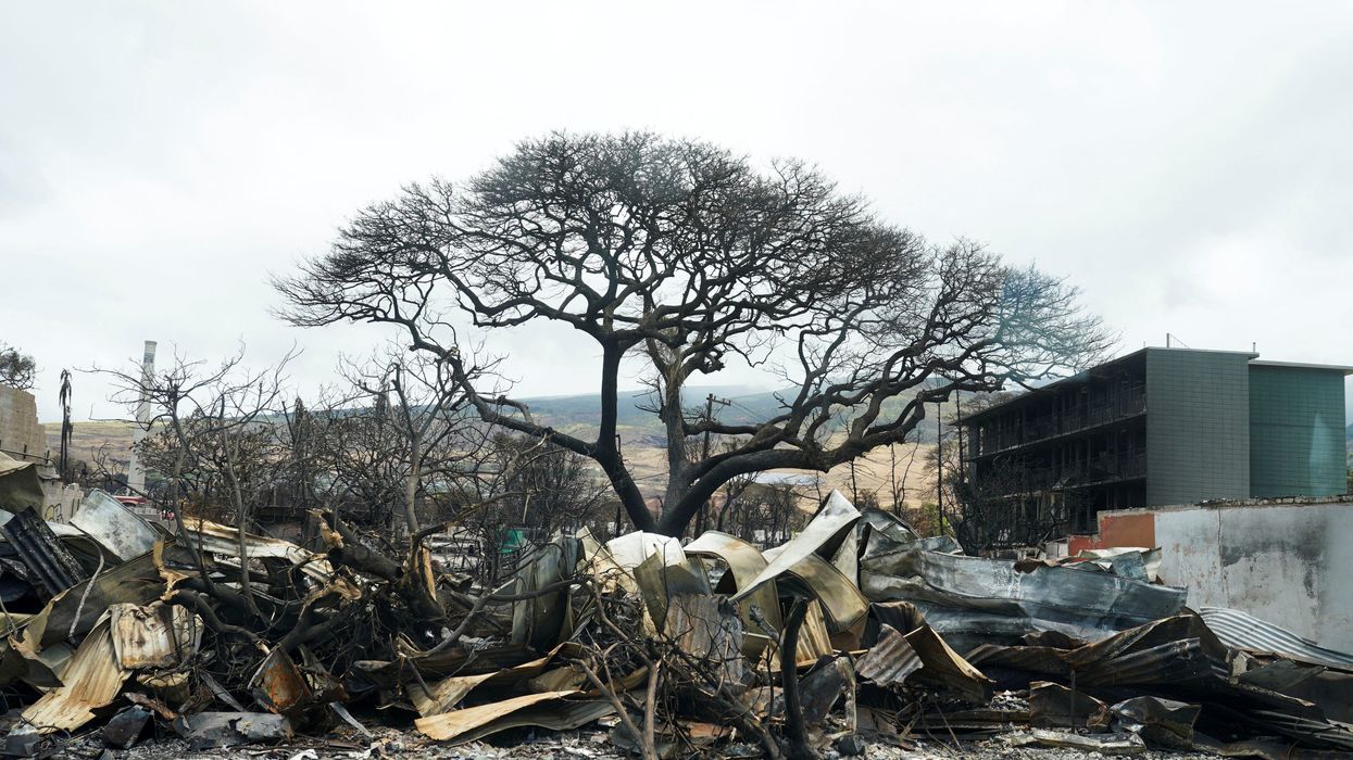 The fire-ravaged town of Lahaina on the island of Maui in Hawaii.