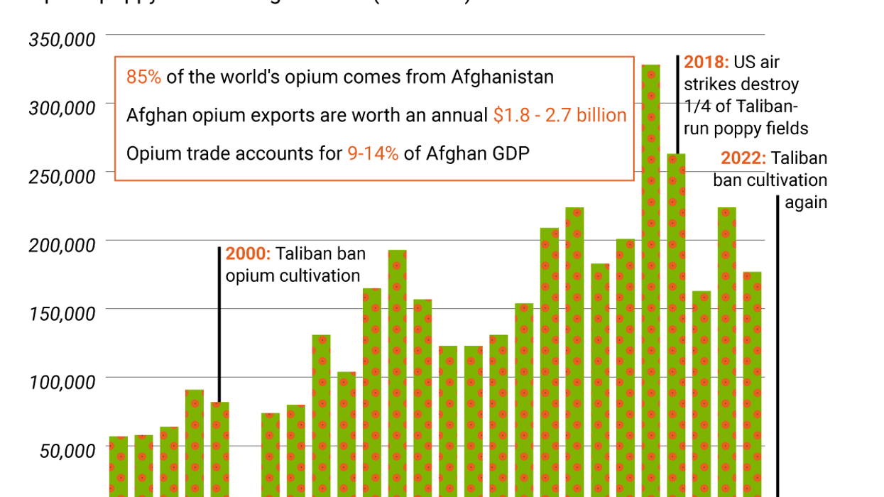 The Graphic Truth: Opium keeps the Taliban going