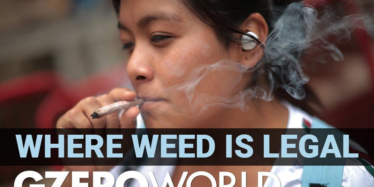 The global trend towards legalizing marijuana