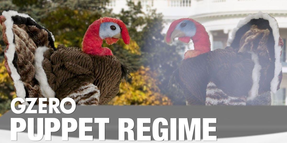 The price of a Thanksgiving pardon