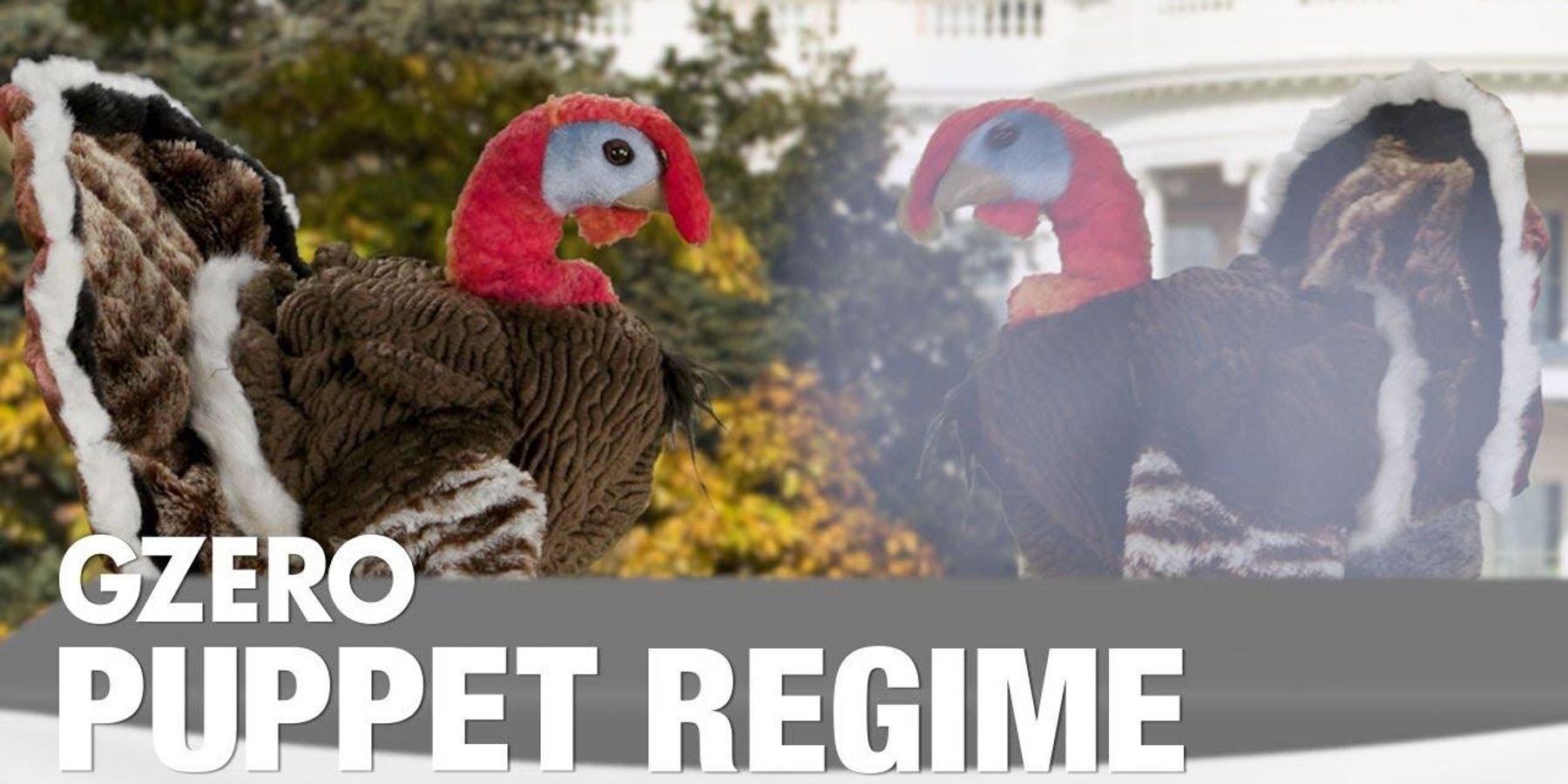 The price of a Thanksgiving pardon