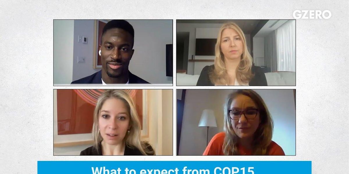 COP15 biodiversity wish list for the private sector