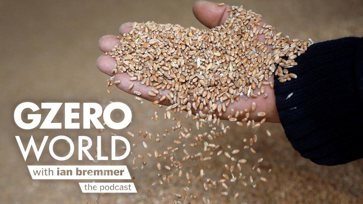 The Ukraine war is crippling the world's food supply | GZERO World with Ian Bremmer podcast