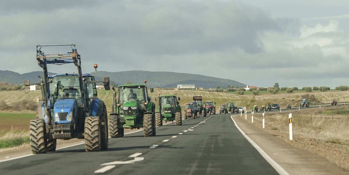 ​Tractors drive on the N-403 towards Zafra during a rally on 16 January 2026 in Badajoz, Extremadura (Spain). 