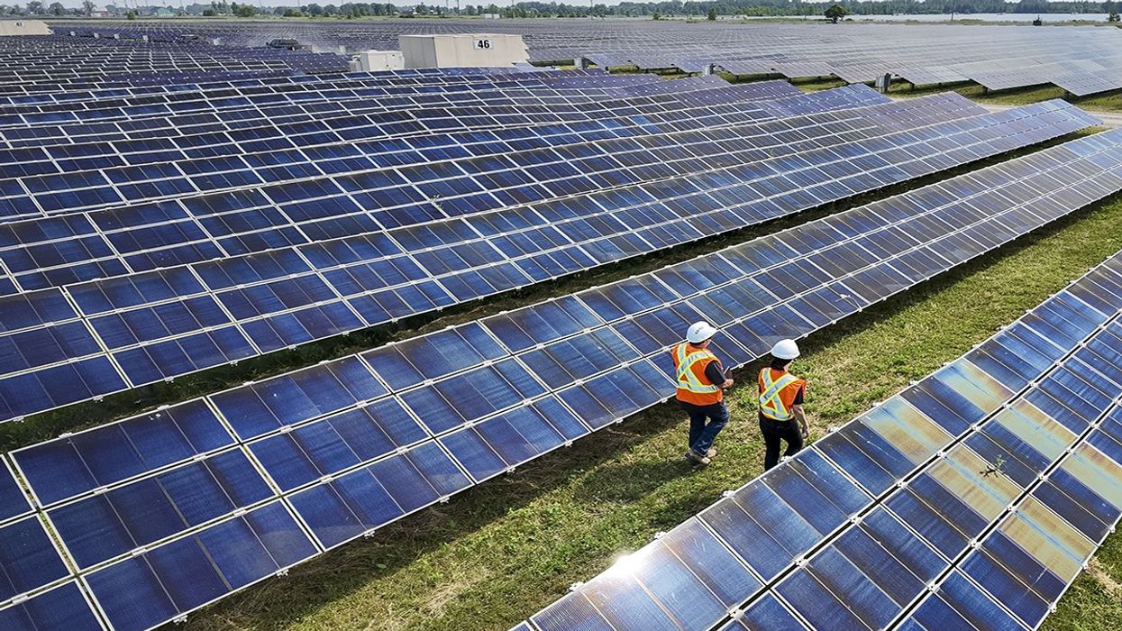 Two people walking among solar panels