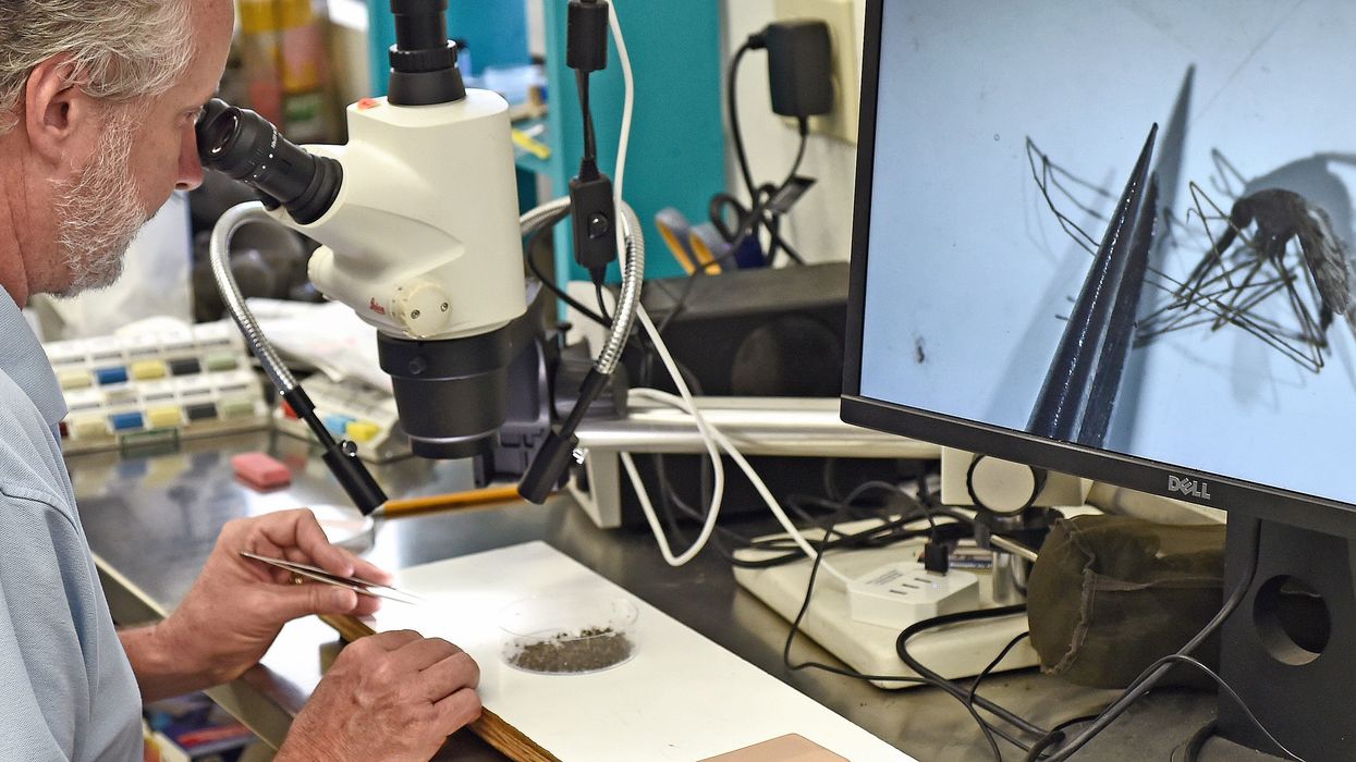 Wade Brennan from Sarasota County Mosquito Management Services shows a mosquito that is capable of harboring malaria