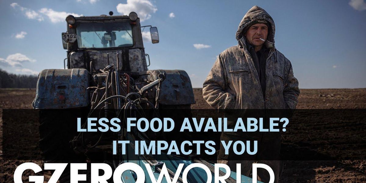 War in Ukraine: cascading impacts on global food supply