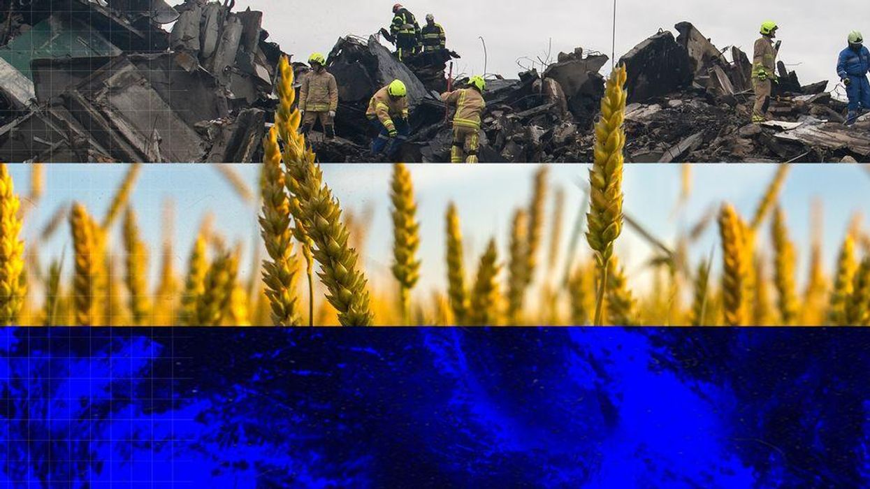 War in Ukraine puts 280 million at risk of hunger