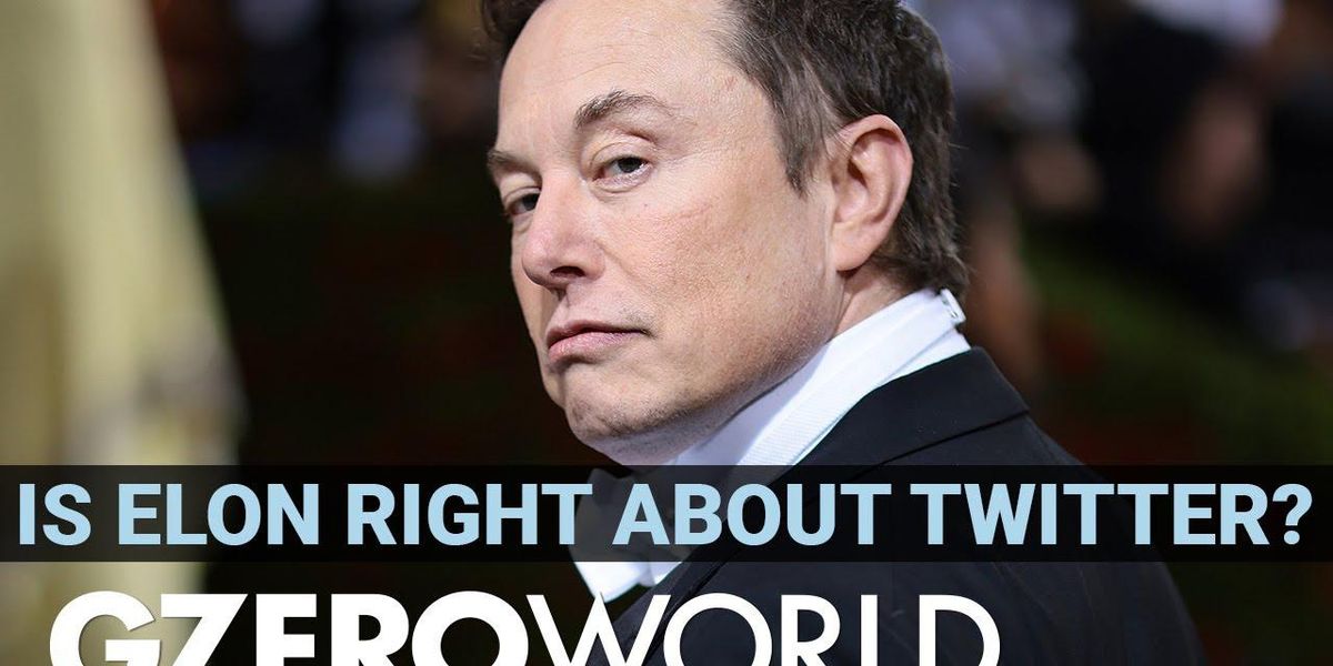 Was Elon Musk right about Twitter's bots?