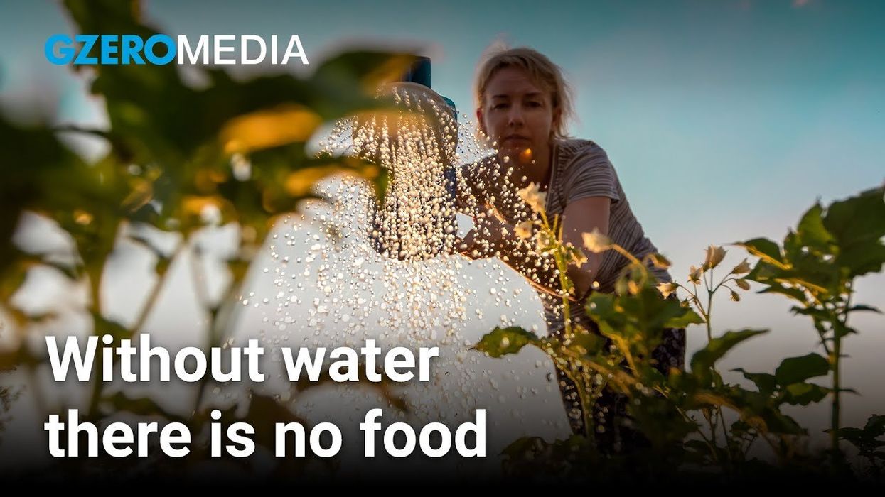 Water is food, so use solutions to conserve water, says expert Alzbeta Klein