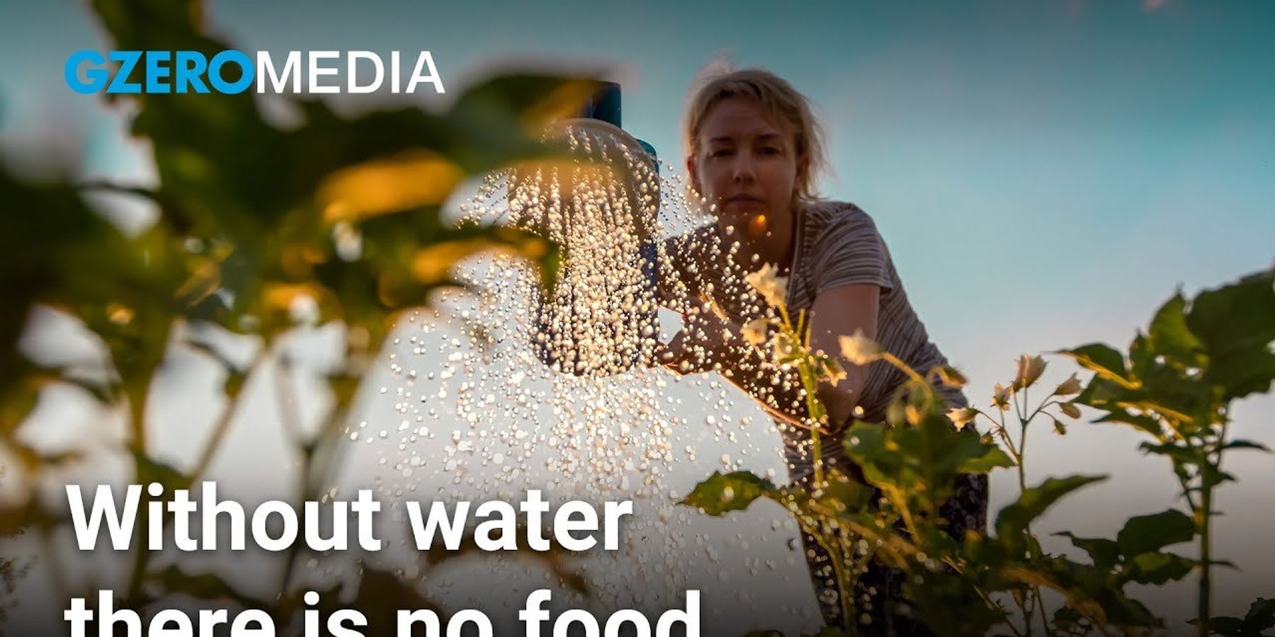 Water is food, so use solutions to conserve water, says expert Alzbeta Klein